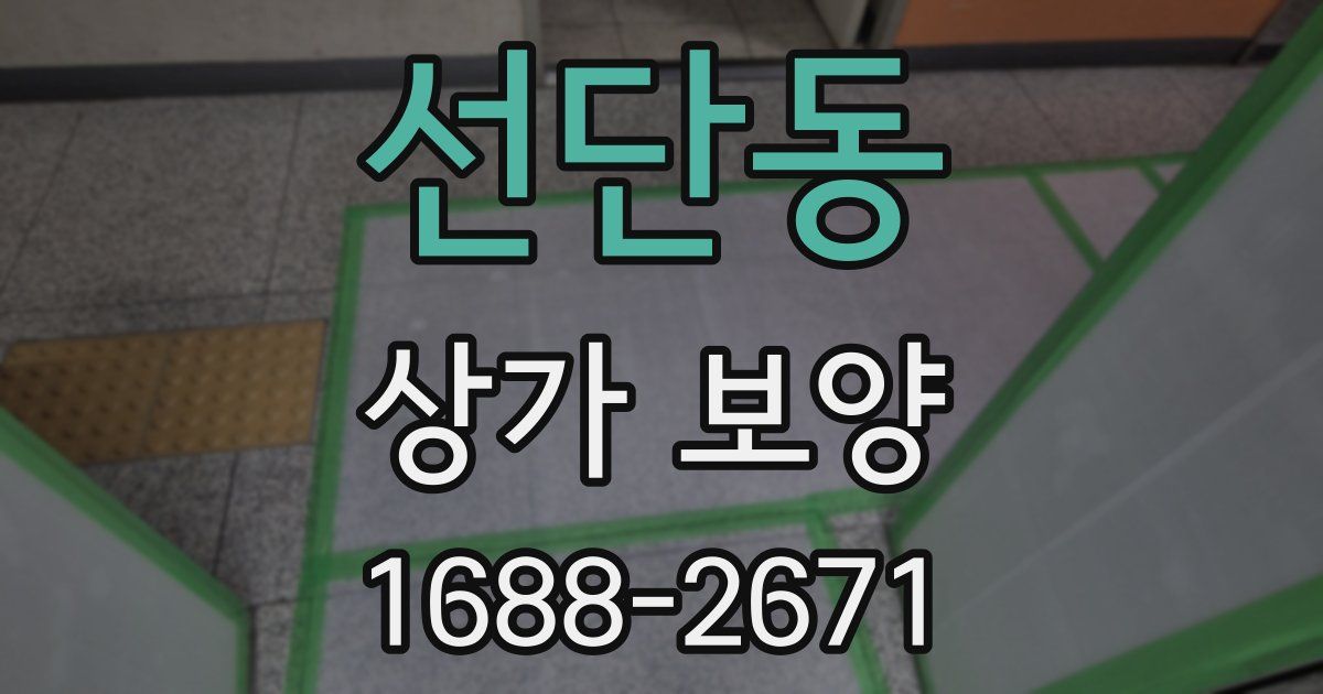 선단동 상가 보양