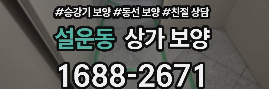 설운동 상가 보양