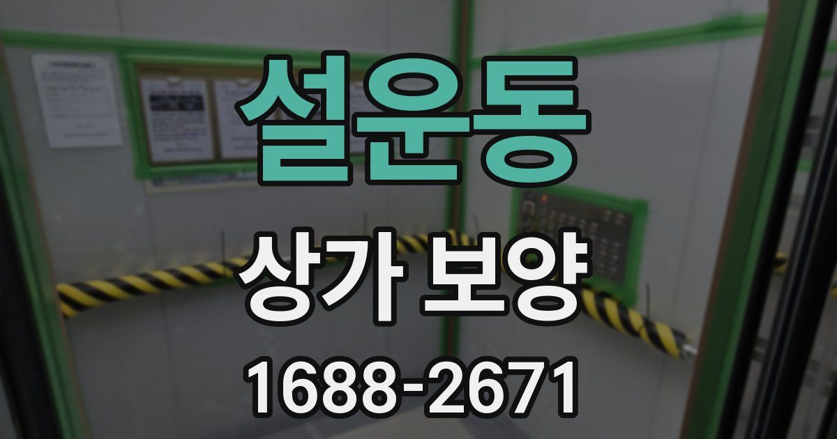 설운동 상가 보양