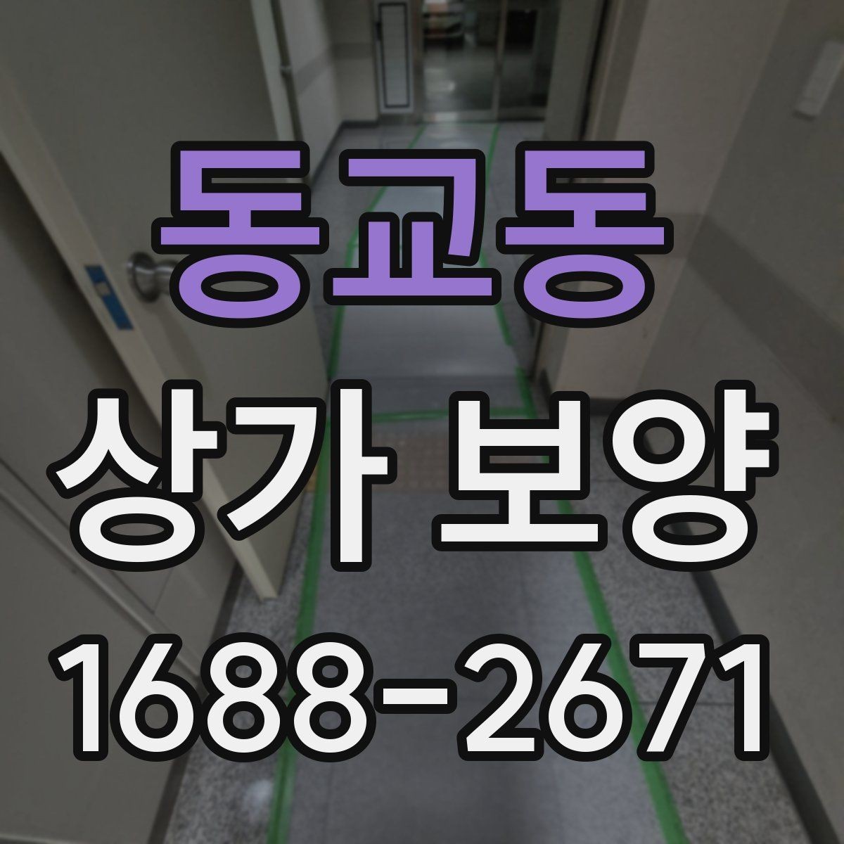 동교동 상가 보양 작업 범위와 진행 순서