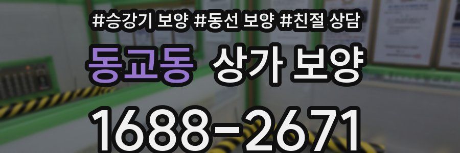 동교동 상가 보양
