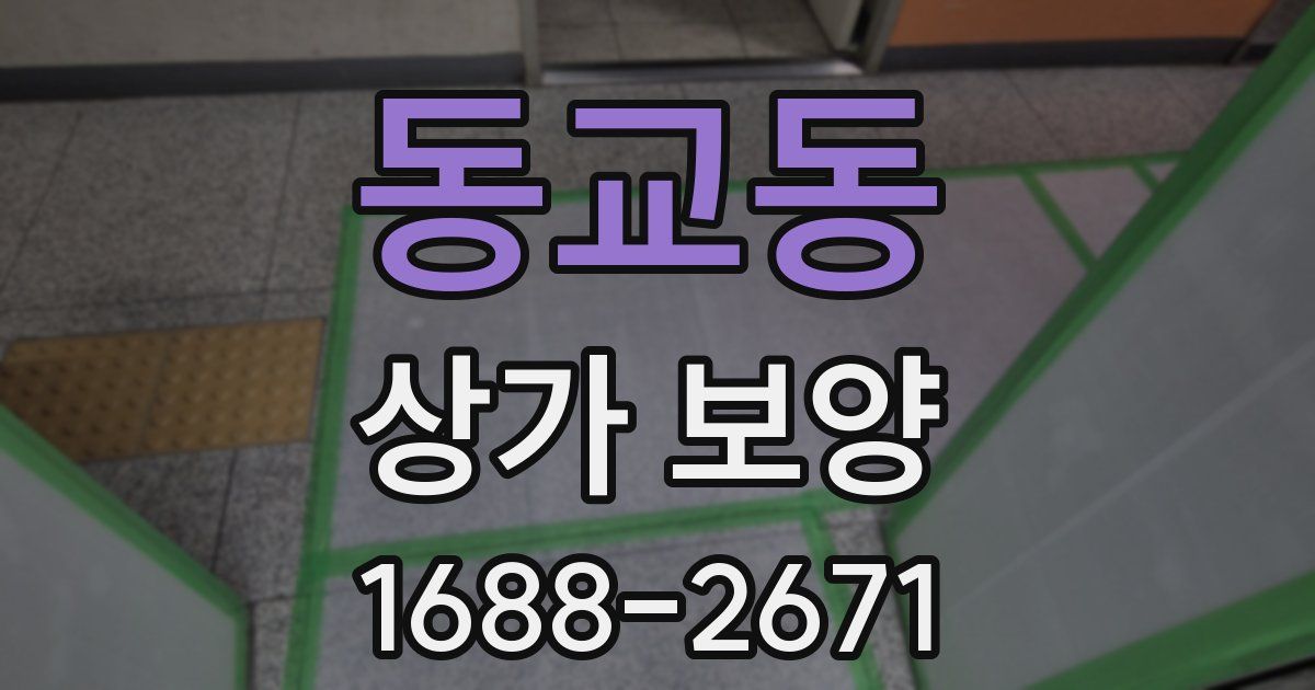 동교동 상가 보양
