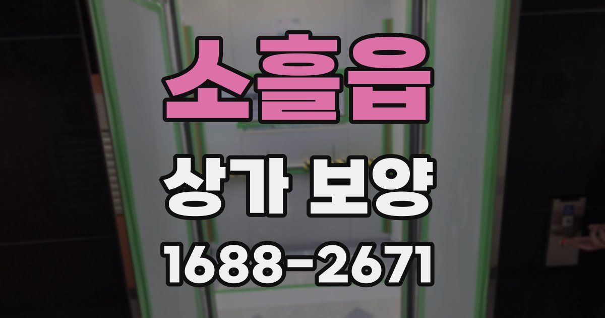 소흘읍 상가 보양