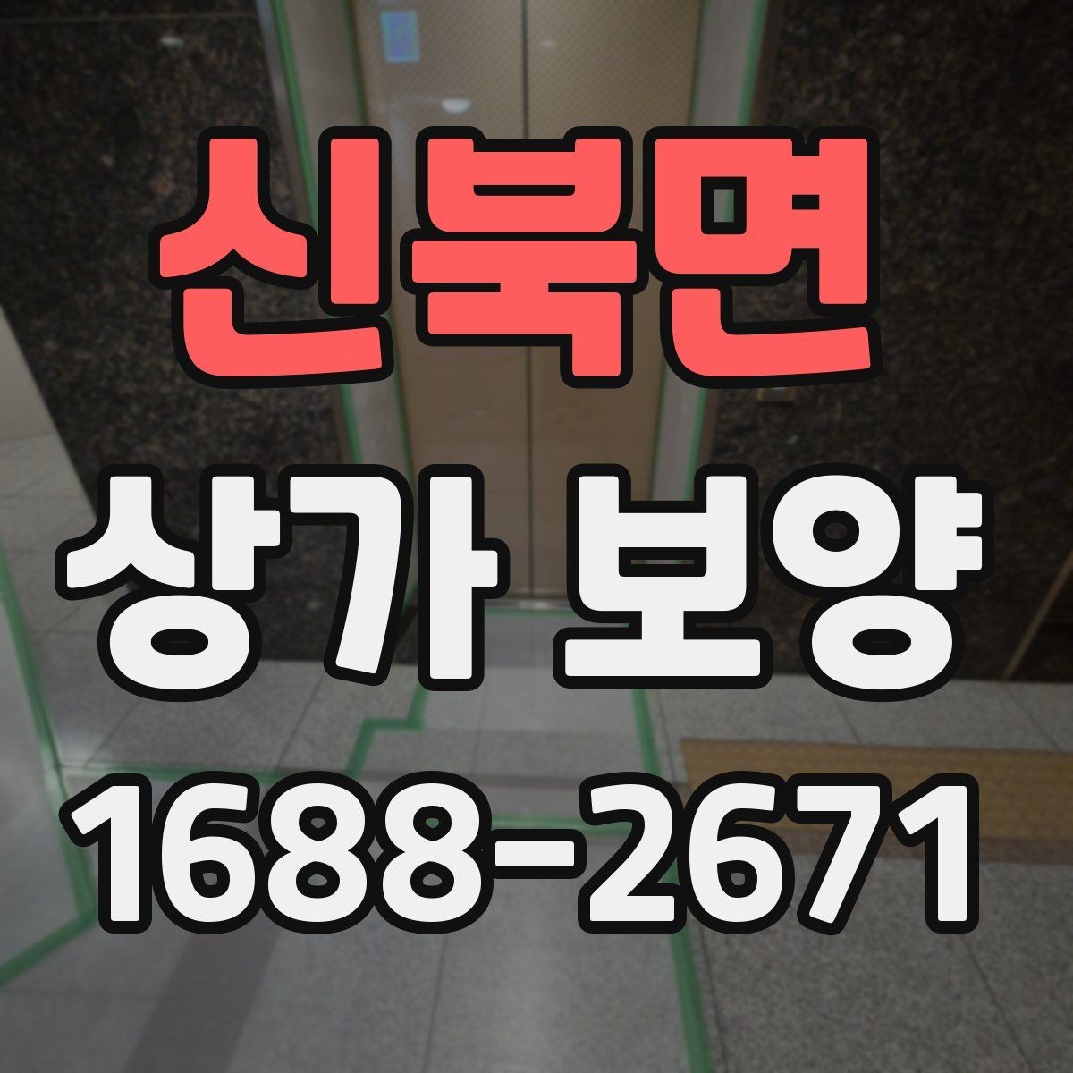 신북면 상가 보양 시 예상 비용과 변수