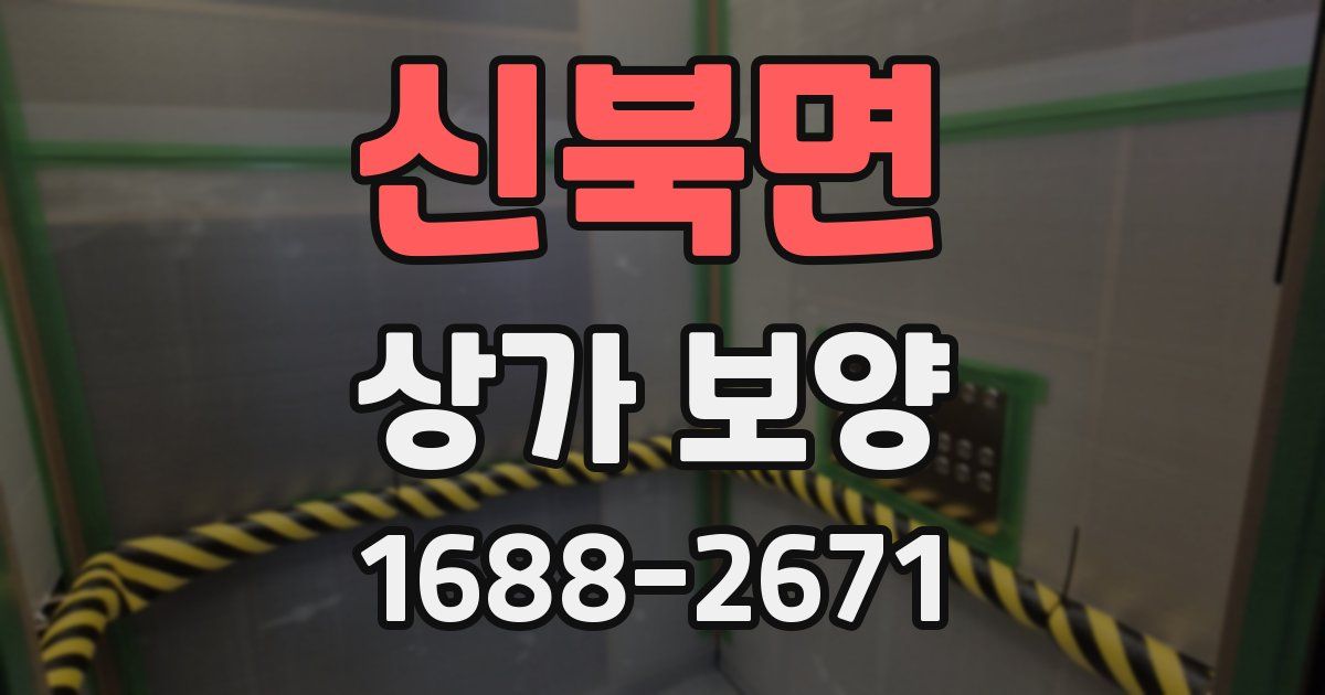 신북면 상가 보양