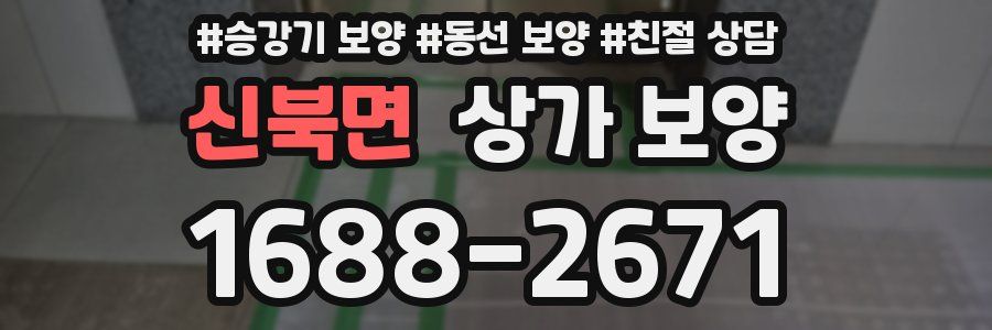 신북면 상가 보양