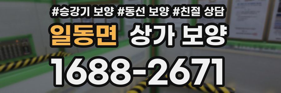 일동면 상가 보양