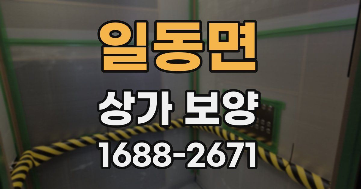 일동면 상가 보양