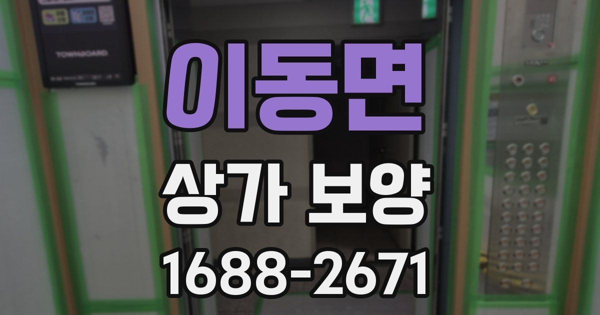 이동면 상가 보양