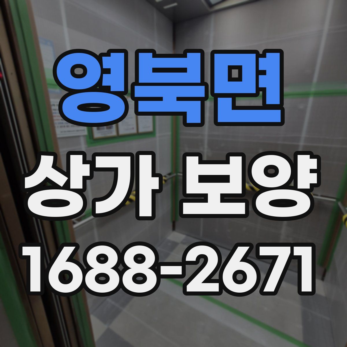 영북면 상가 보양