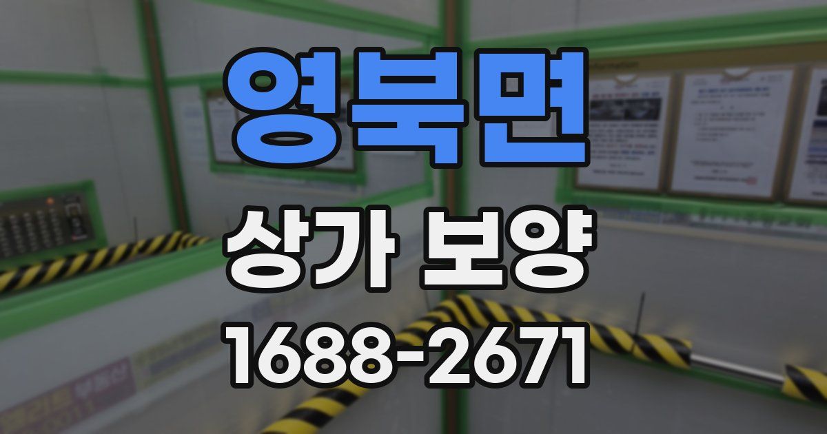 영북면 상가 보양