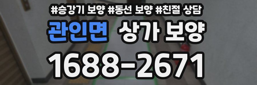 관인면 상가 보양