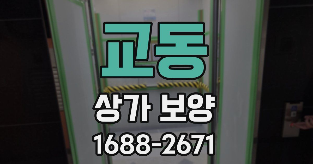 교동 상가 보양