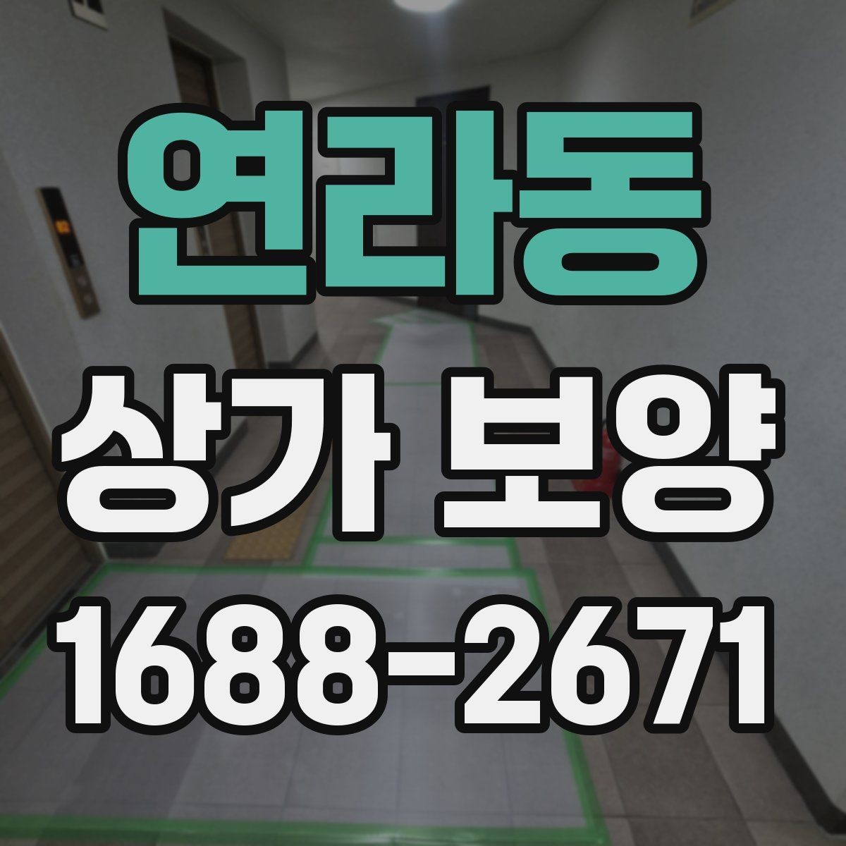 연라동 상가 보양 단계별 진행 방식