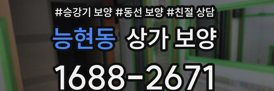 능현동 상가 보양