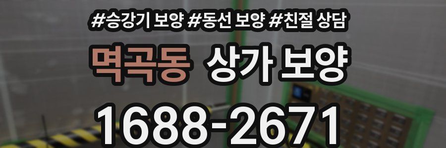 멱곡동 상가 보양