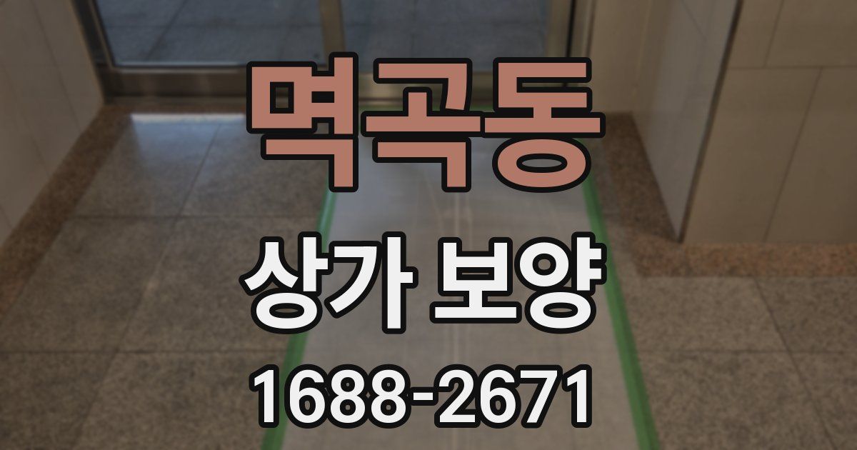 멱곡동 상가 보양