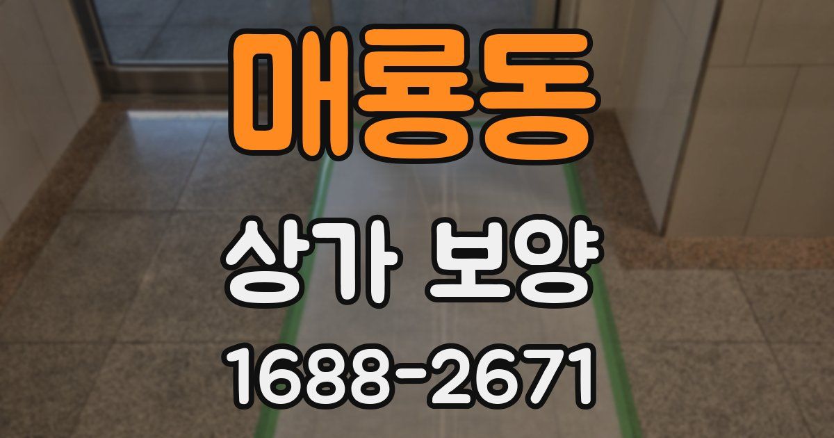 매룡동 상가 보양