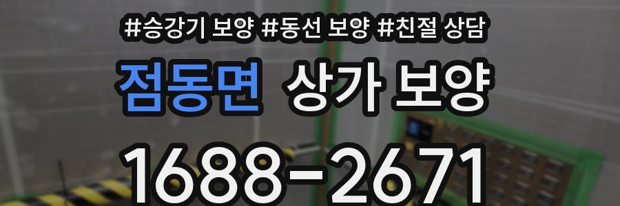점동면 상가 보양
