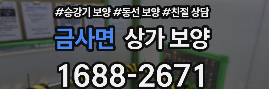 금사면 상가 보양