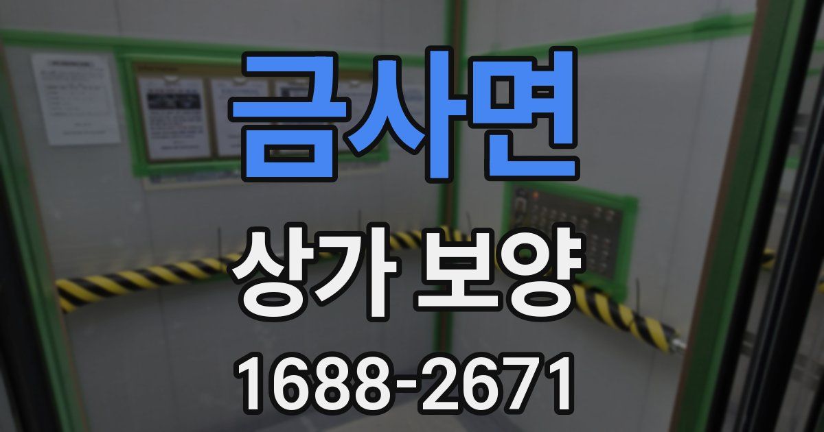 금사면 상가 보양