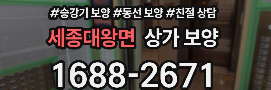 세종대왕면 상가 보양