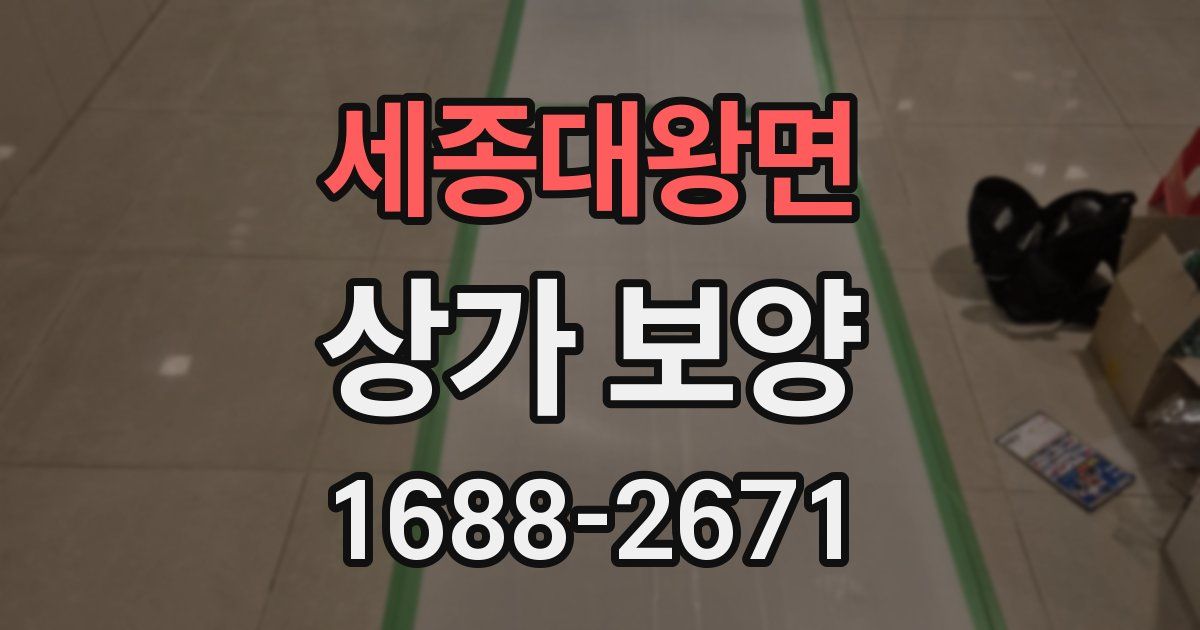 세종대왕면 상가 보양