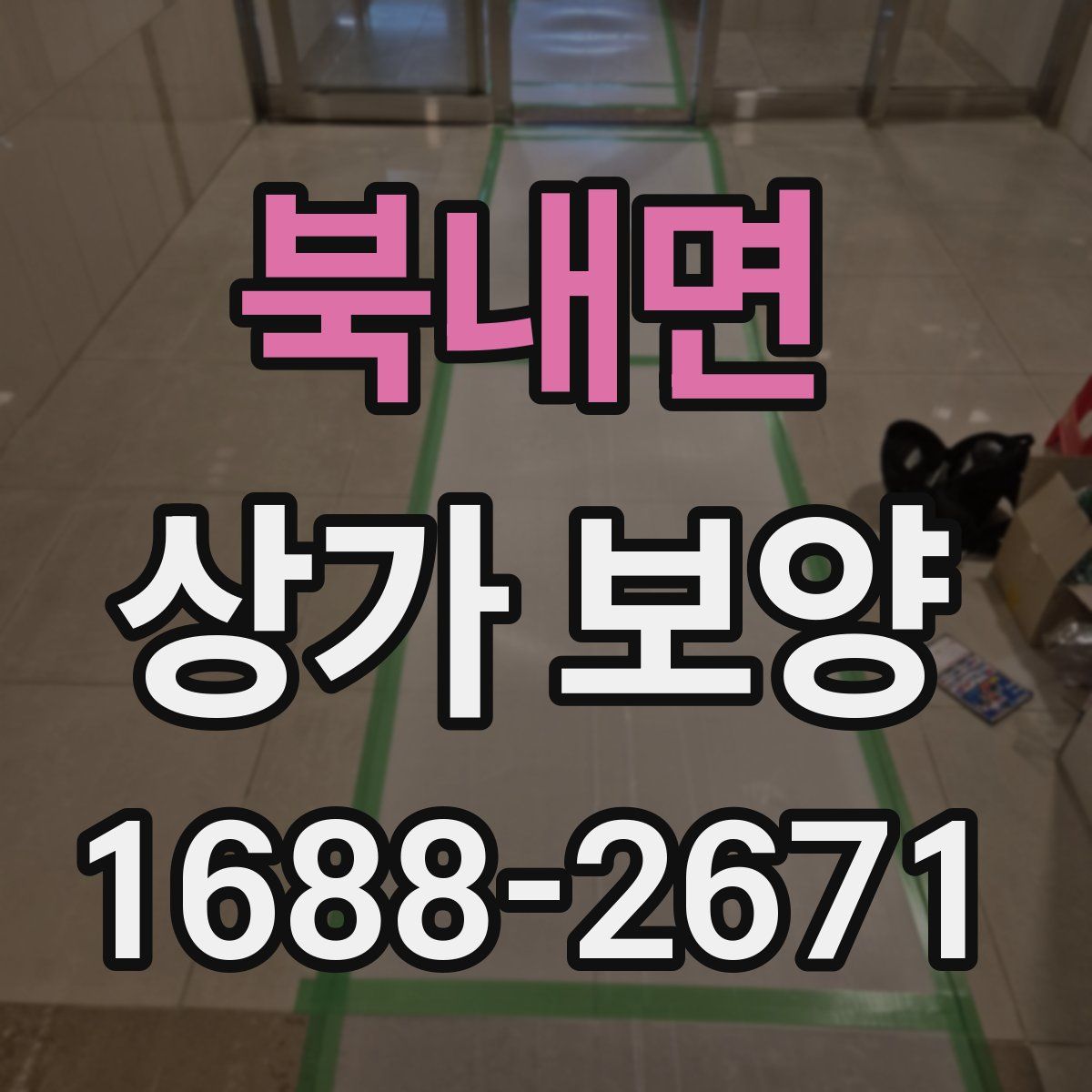 북내면 상가 보양