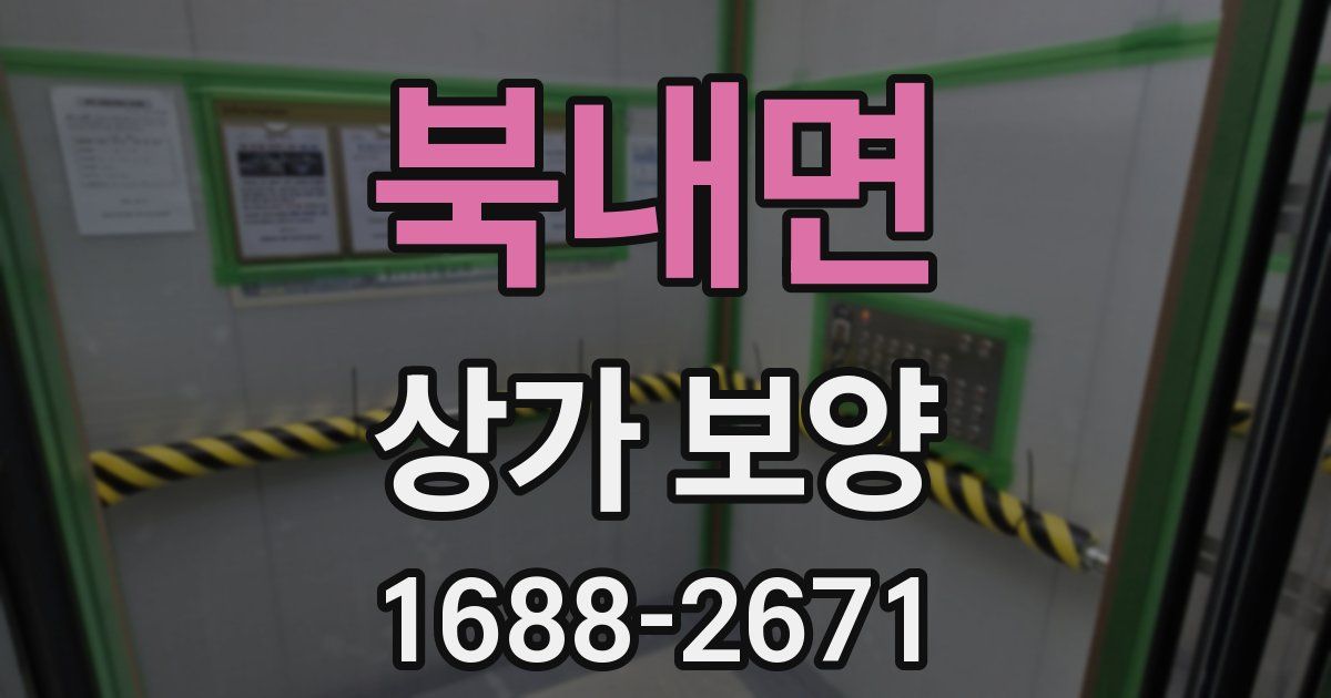 북내면 상가 보양