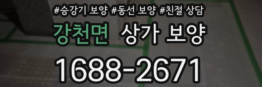 강천면 상가 보양