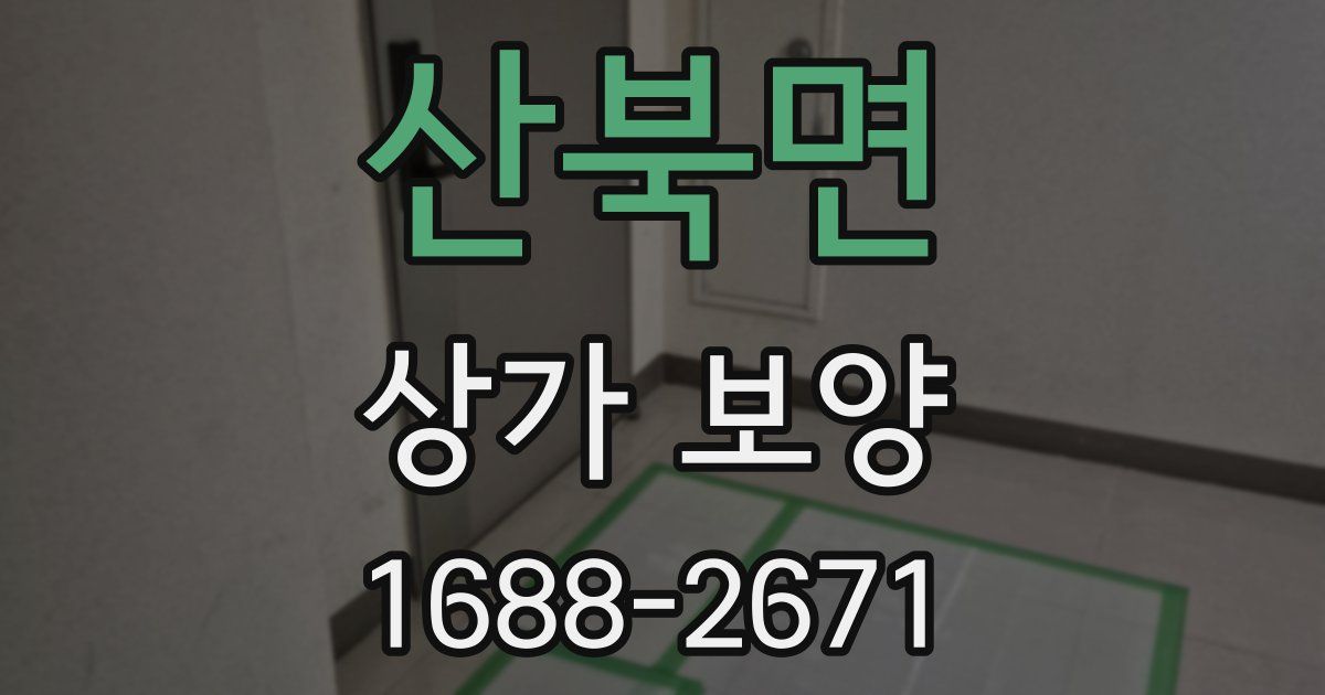 산북면 상가 보양