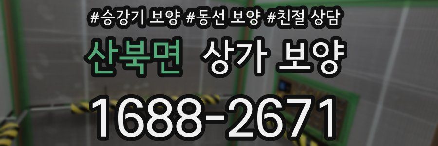 산북면 상가 보양