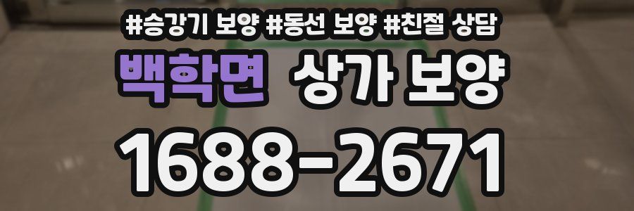 백학면 상가 보양