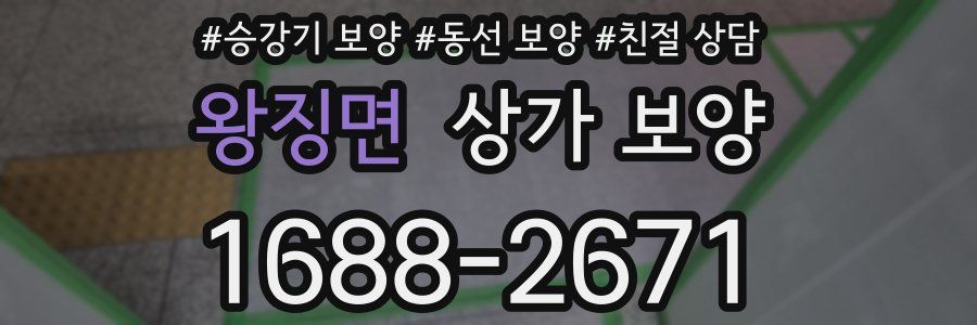 왕징면 상가 보양