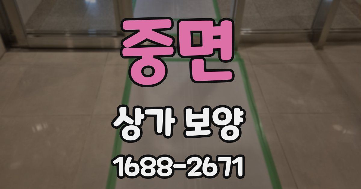 중면 상가 보양
