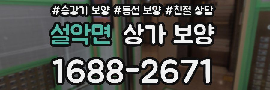 설악면 상가 보양