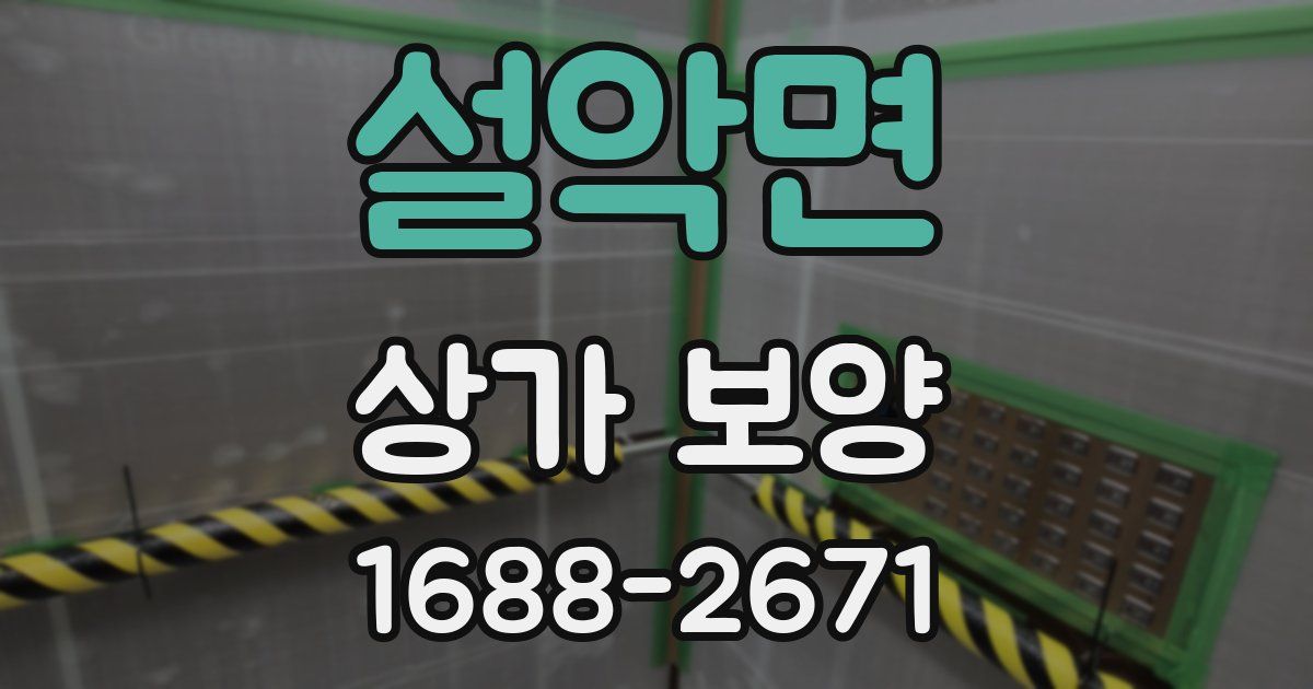 설악면 상가 보양