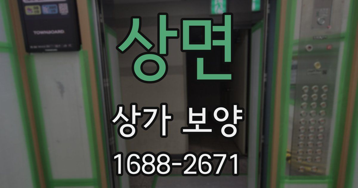 상면 상가 보양