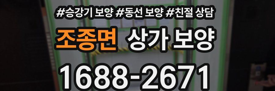 조종면 상가 보양