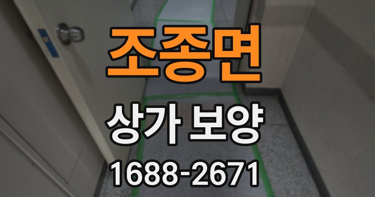 조종면 상가 보양