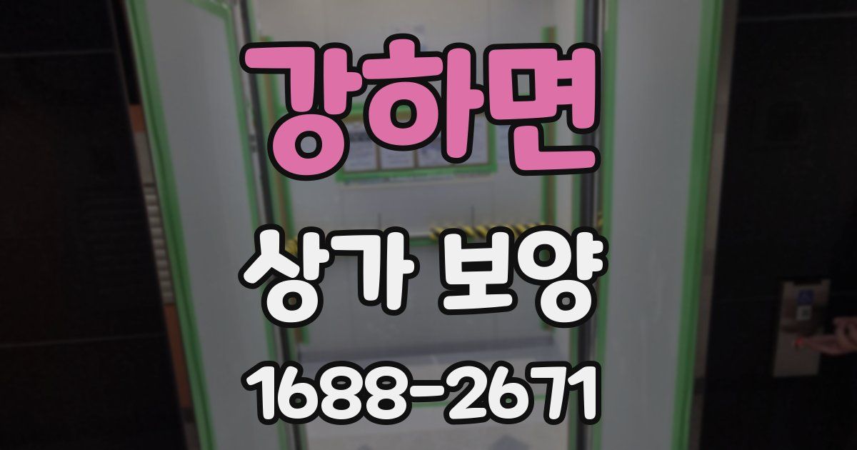 강하면 상가 보양