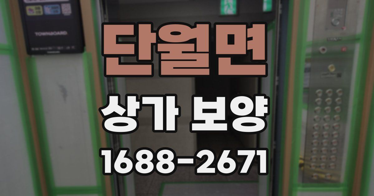단월면 상가 보양