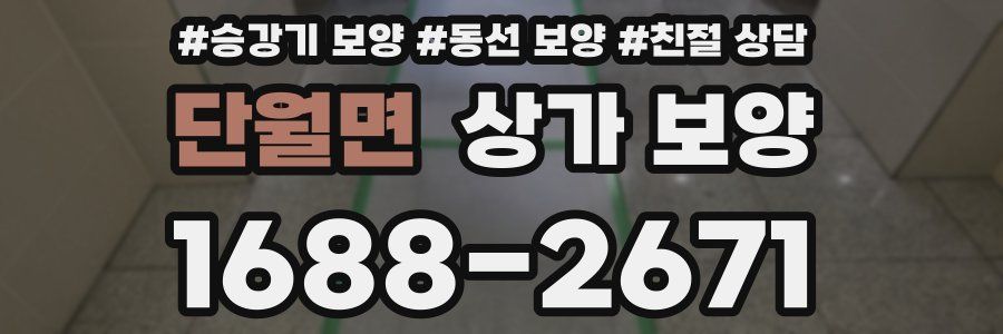 단월면 상가 보양