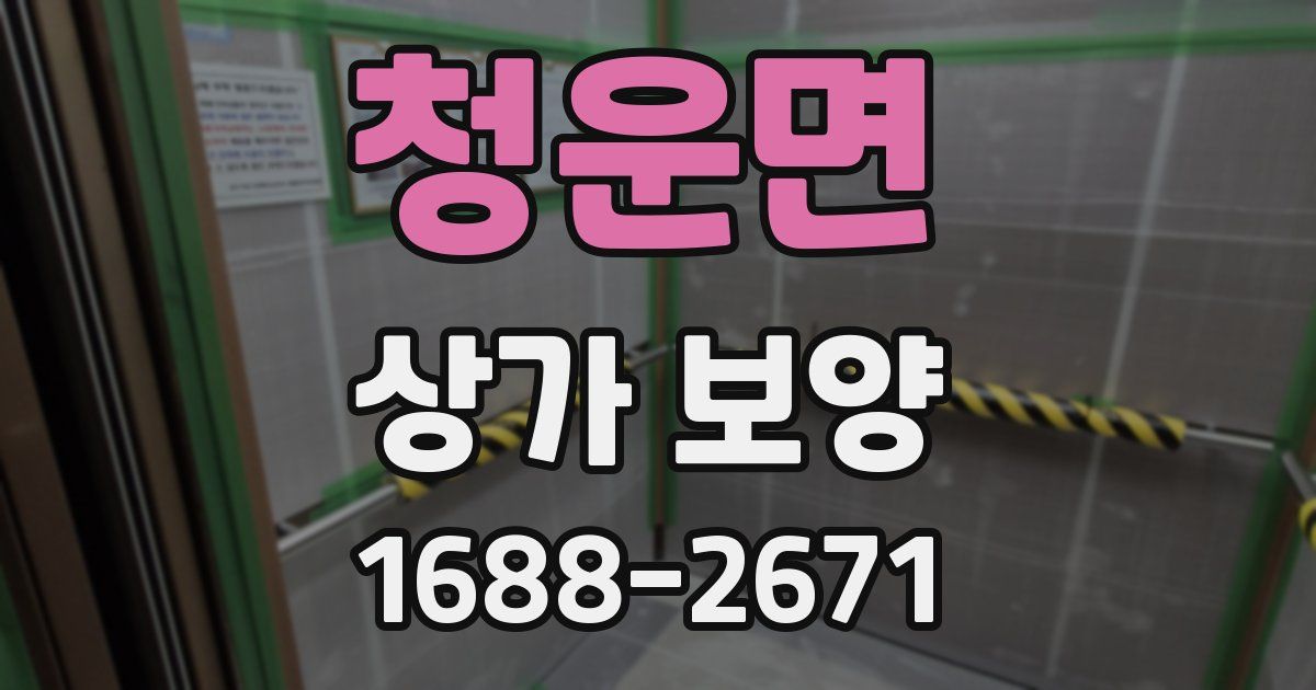 청운면 상가 보양