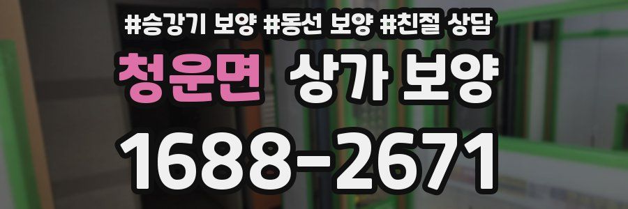 청운면 상가 보양