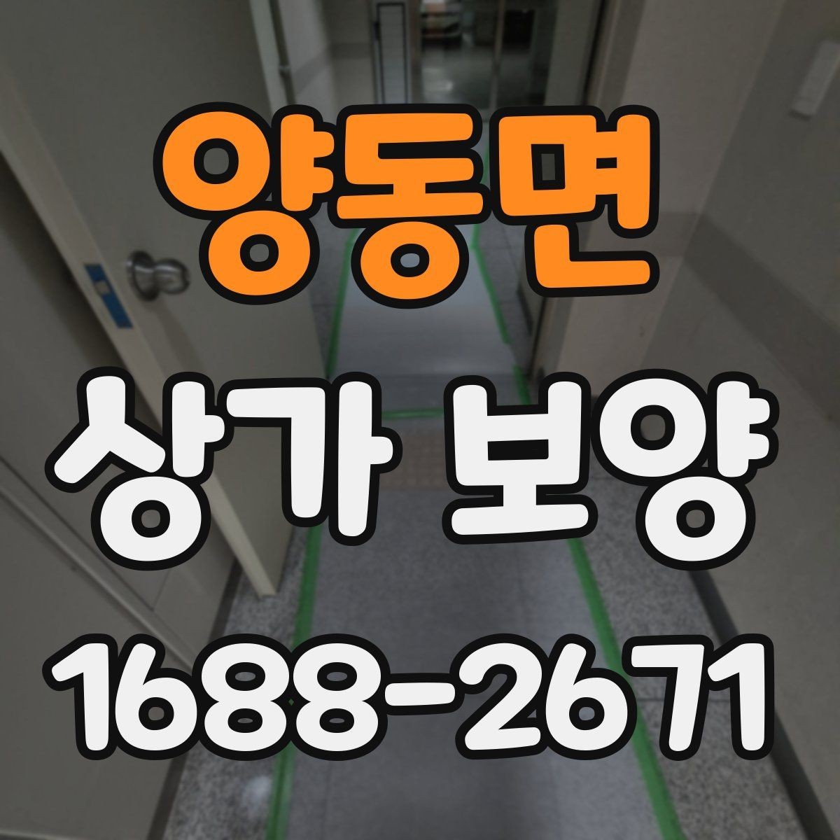 양동면 상가 보양 적용 범위와 제외 범위