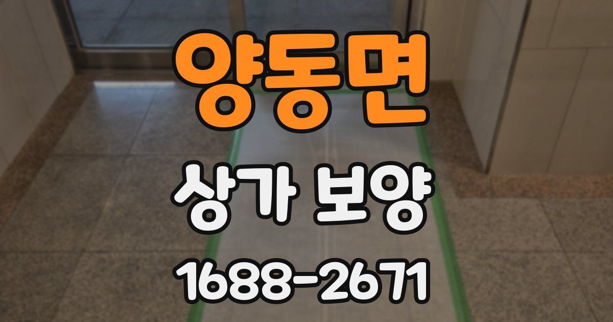 양동면 상가 보양