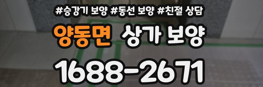 양동면 상가 보양