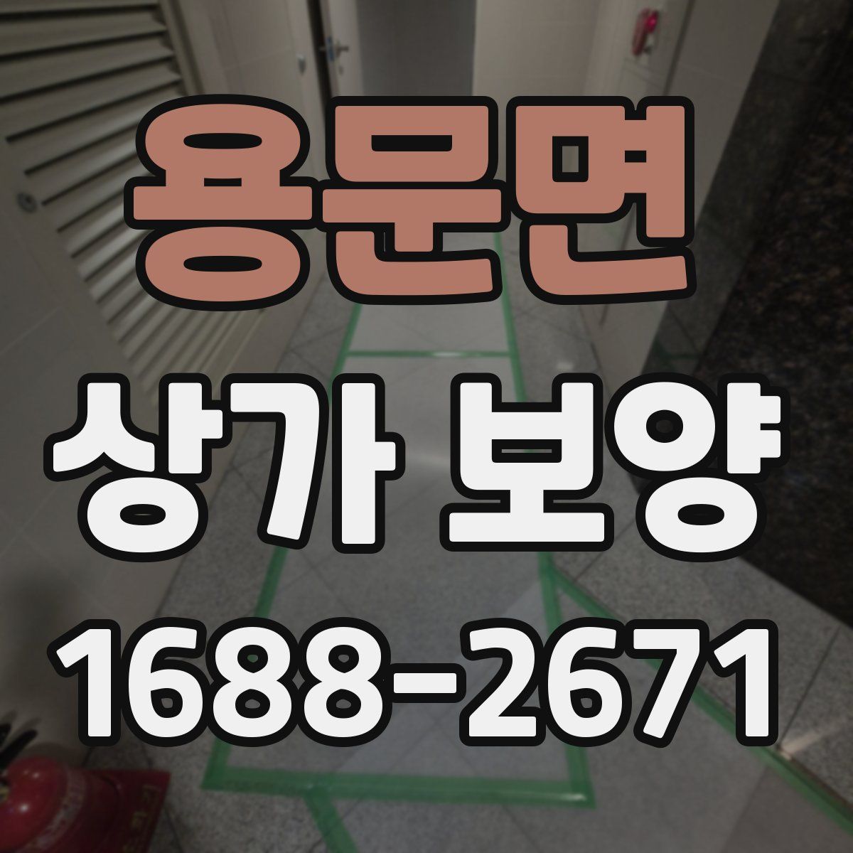 용문면 상가 보양
