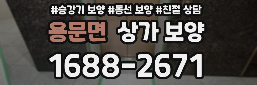 용문면 상가 보양